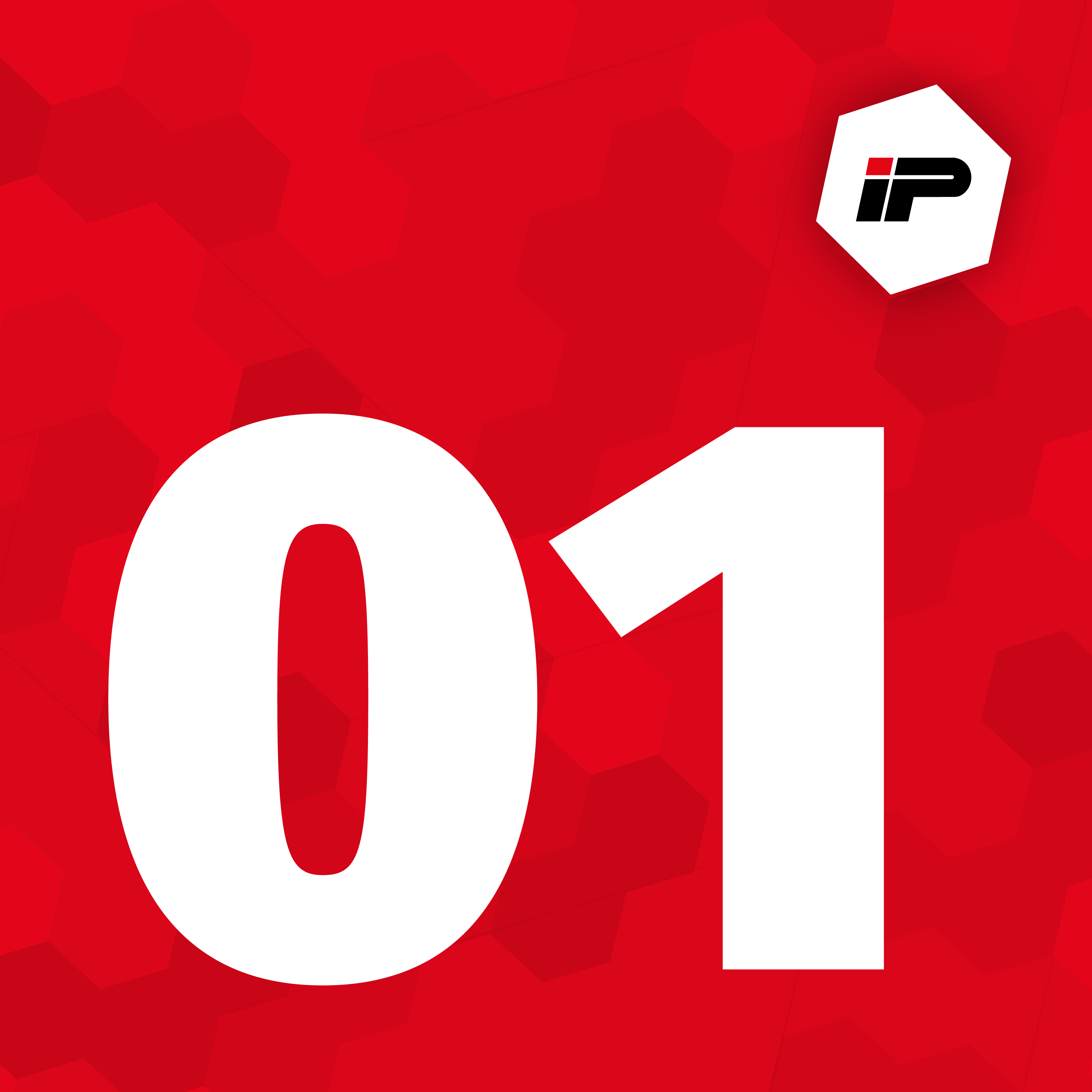 Vom Mauerfall zum Unternehmenserfolg: Die Anfänge der IP Customs Solutions GmbH
